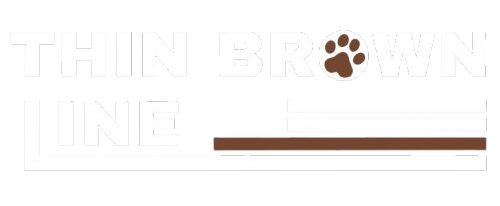 whatsapp image 2026 03 10 at 10.01.22 pm removebg preview